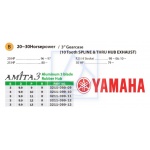 Śruba AMITA3 Yamaha Parsun 10-wpust 9,9 x 13